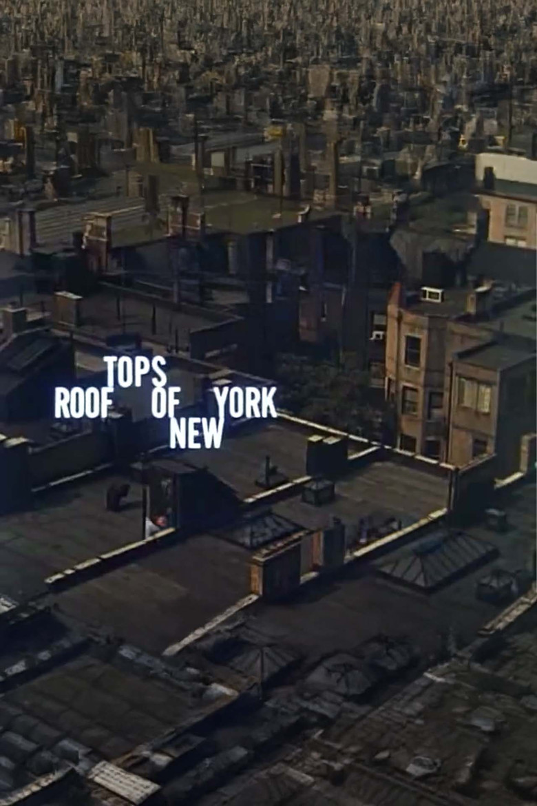 Rooftops of New York poster background