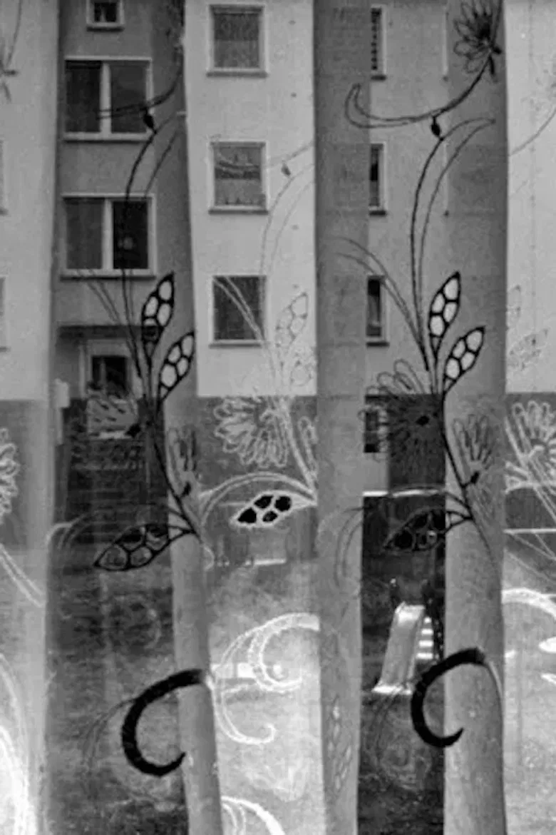 27 Steps poster background