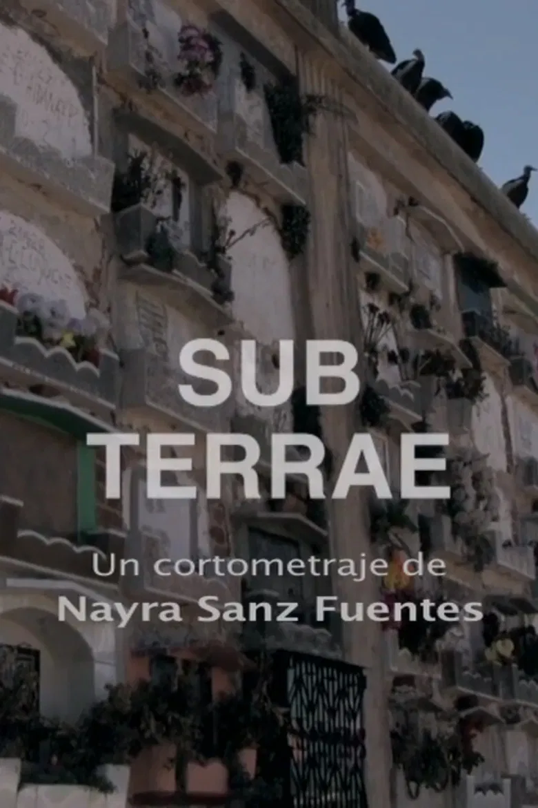 Sub Terrae poster background