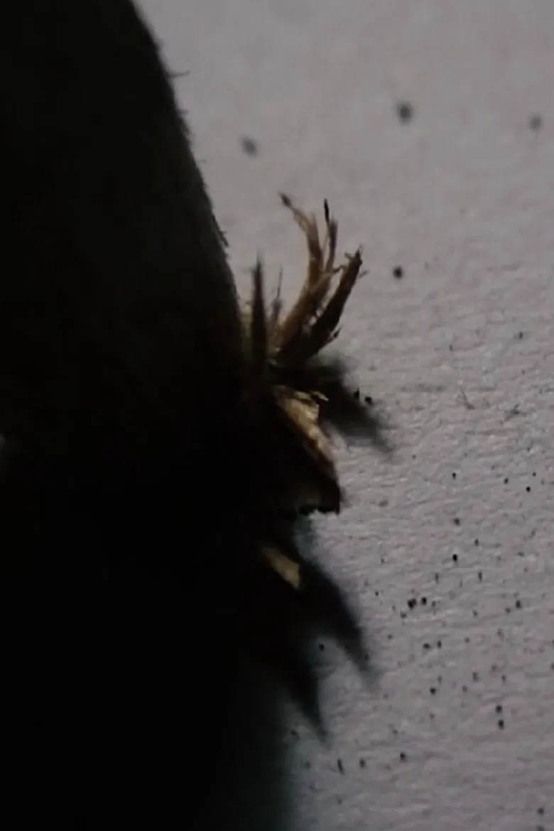 Int. Room poster background