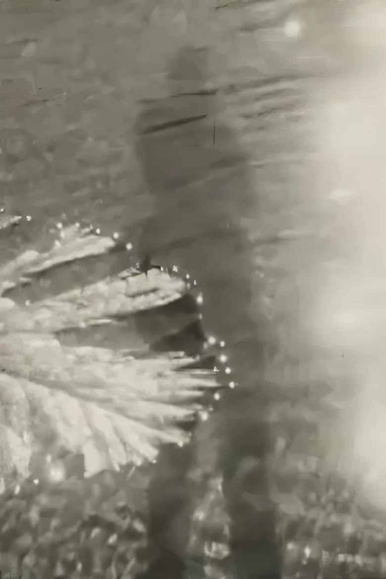 Life and Film poster background