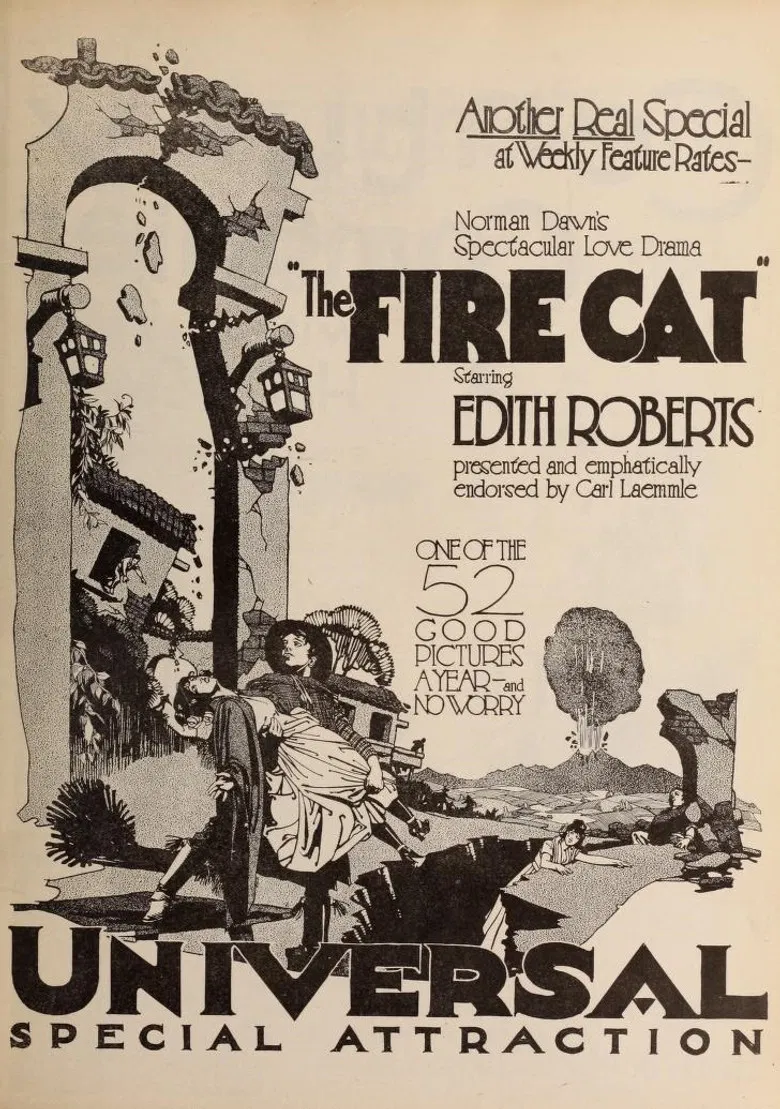 The Fire Cat poster background