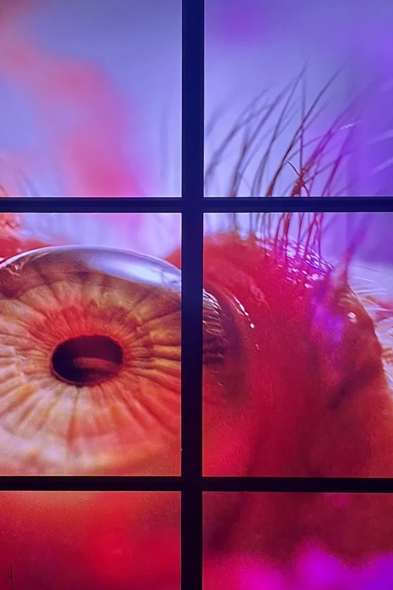 Peeping Freedom Shutters for Osakabe Sayaka (Apollomat vertical screen PFS_D) poster background