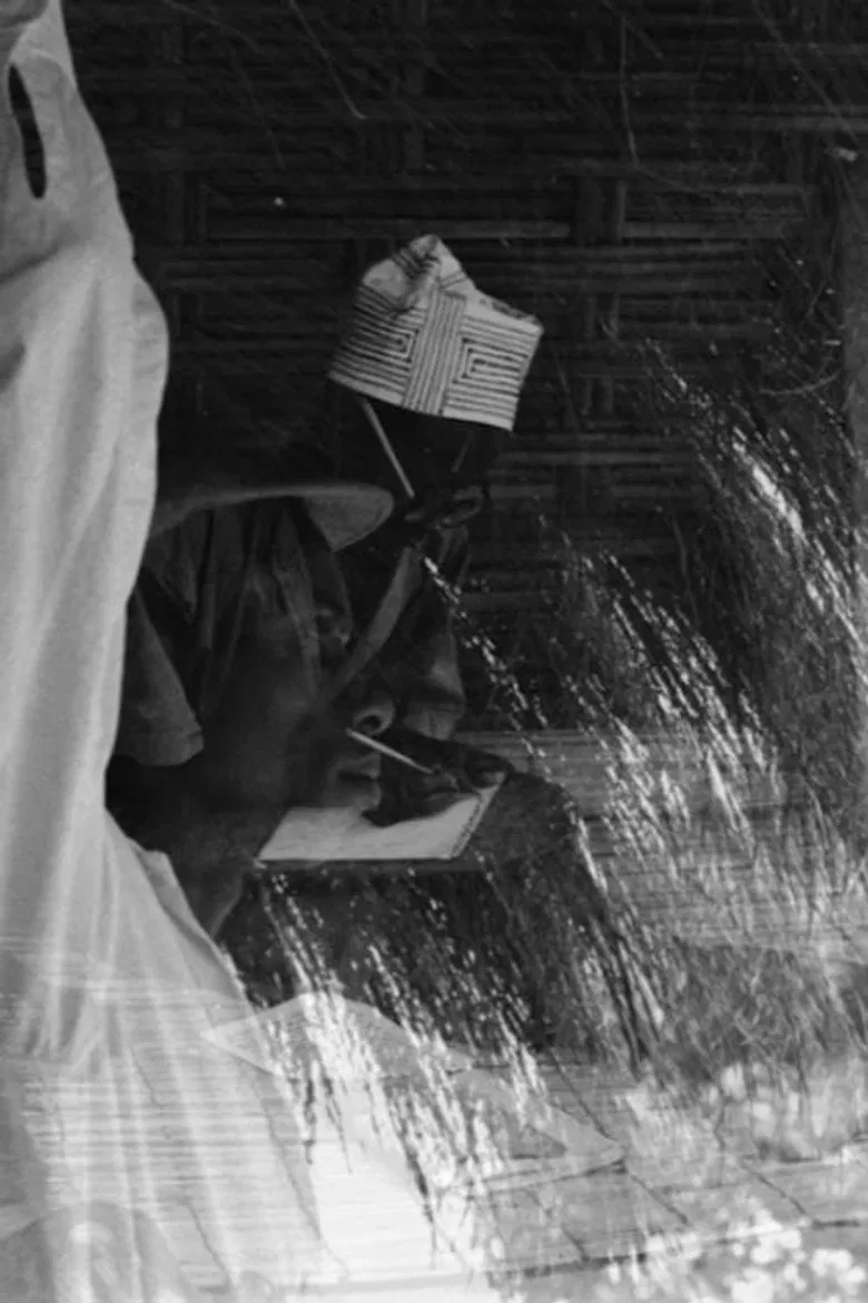 Foreword to Guns for Banta poster background