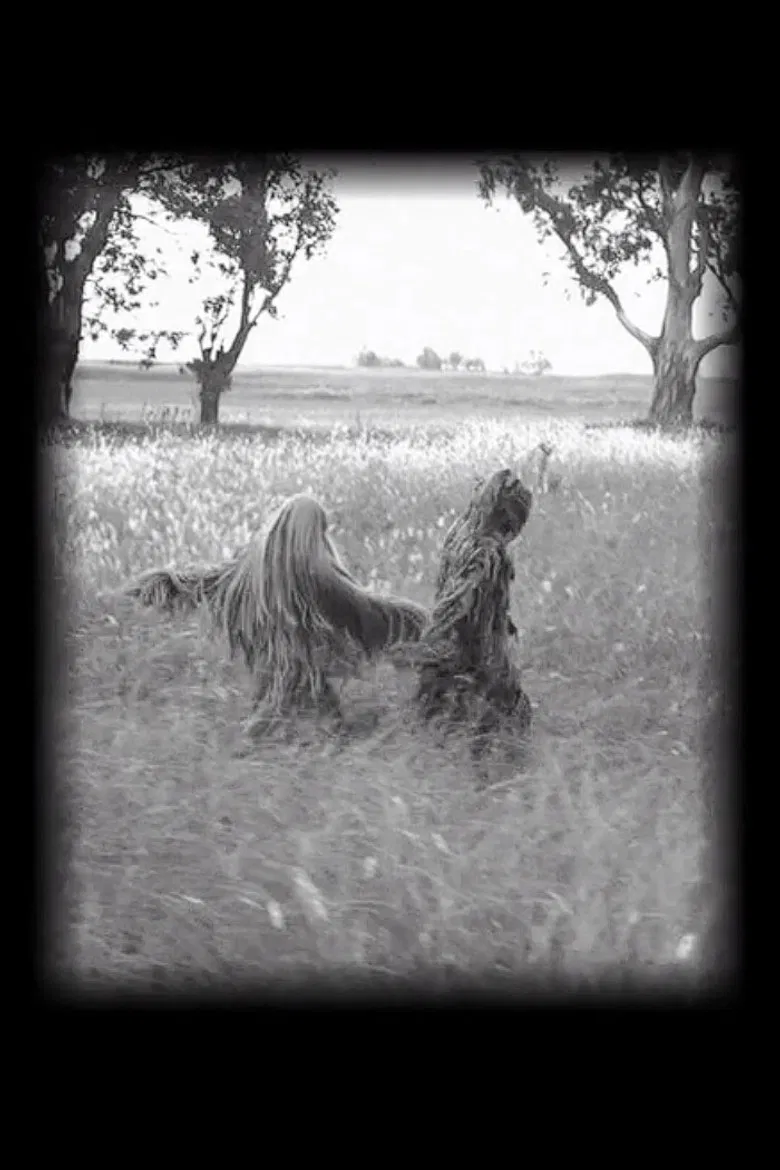 Chascomús poster background