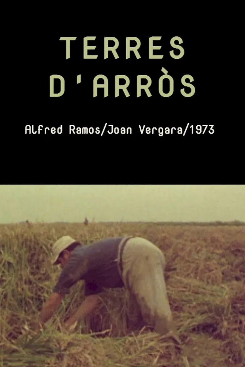 Terres d'arròs poster background
