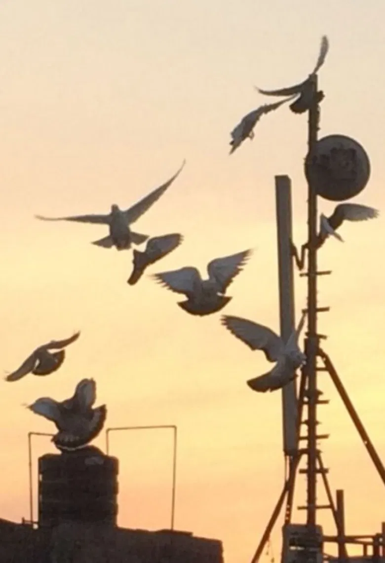 Skywards poster background