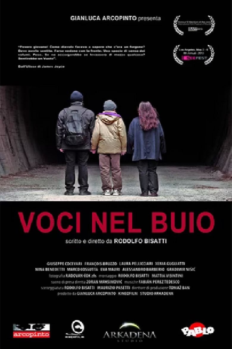 Voices in the Dark poster background