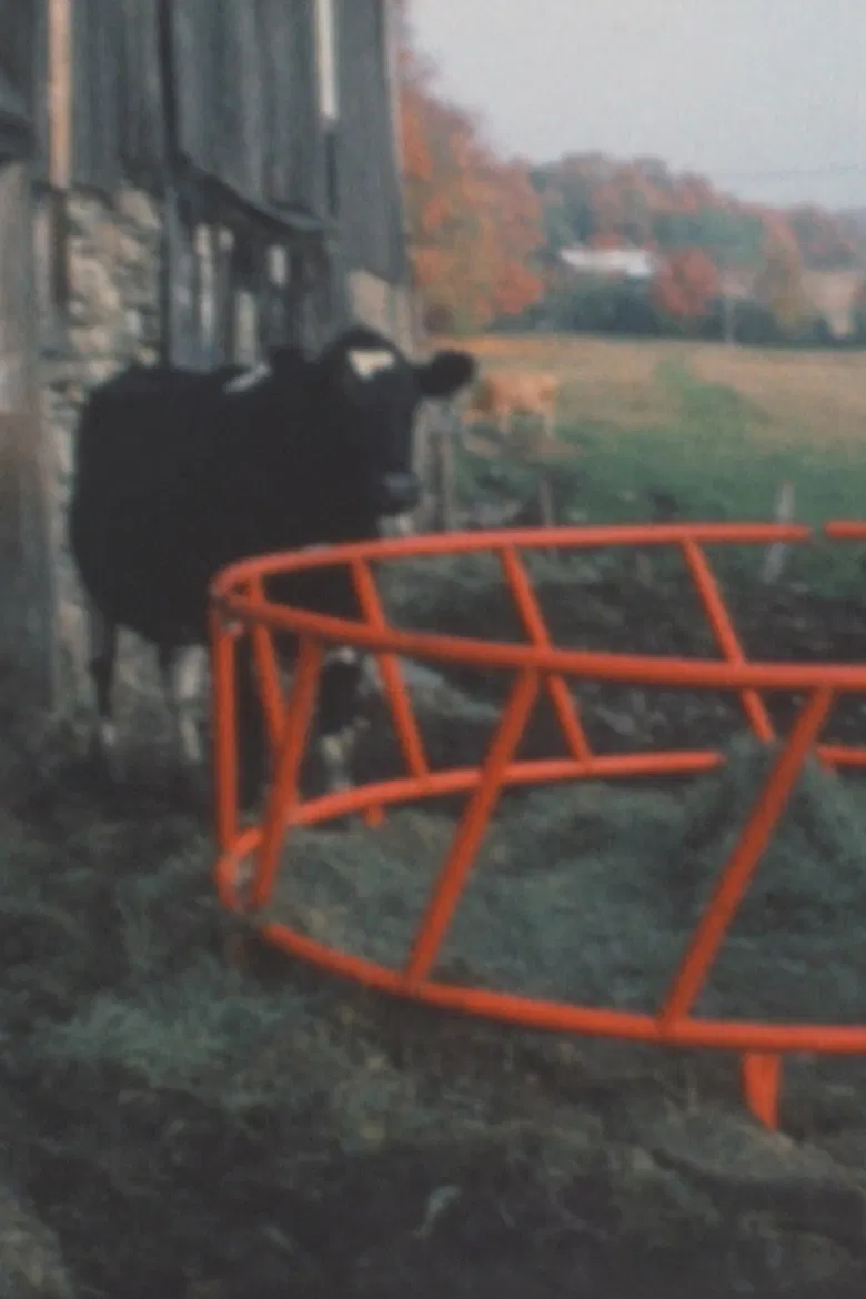 Super 8 Diary - 1991 poster background