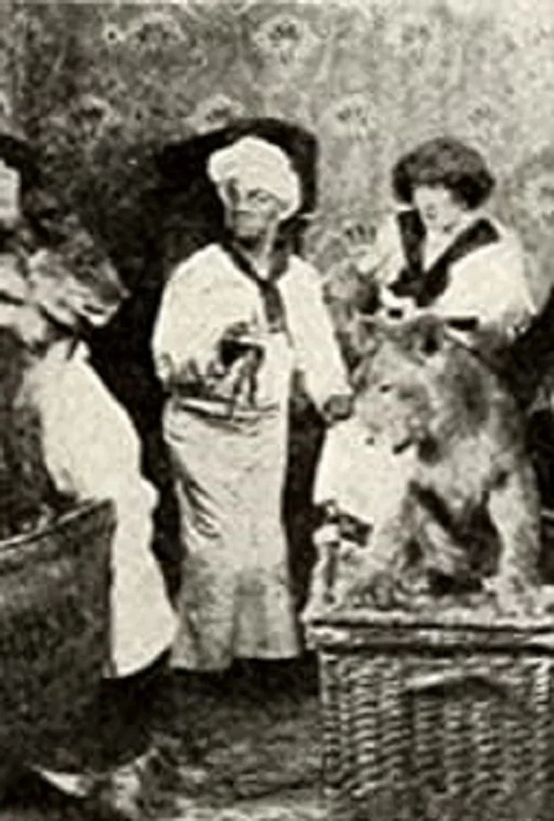 Calino et ses pensionnaires poster background