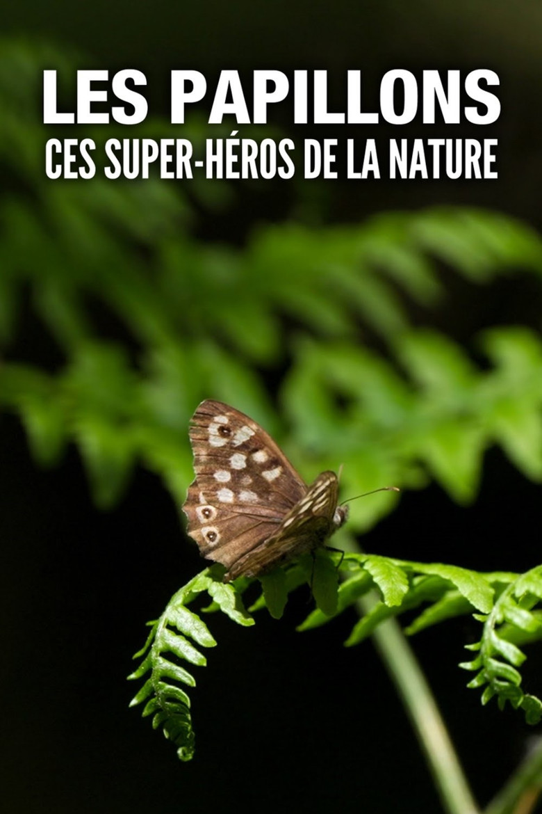 Les Papillons, ces super-héros de la nature poster background