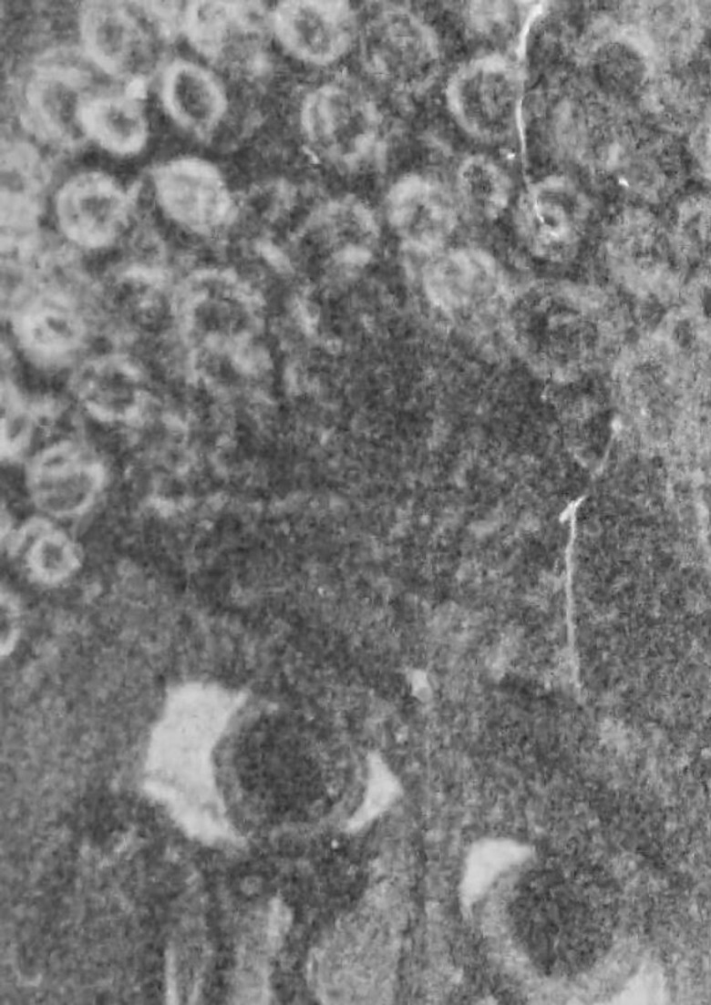 The Charcoal Alley poster background