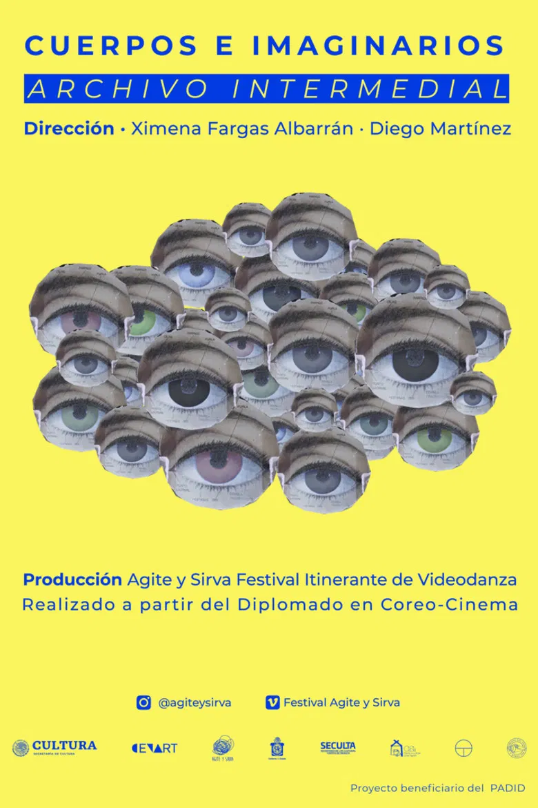 Cuerpos e imaginarios poster background