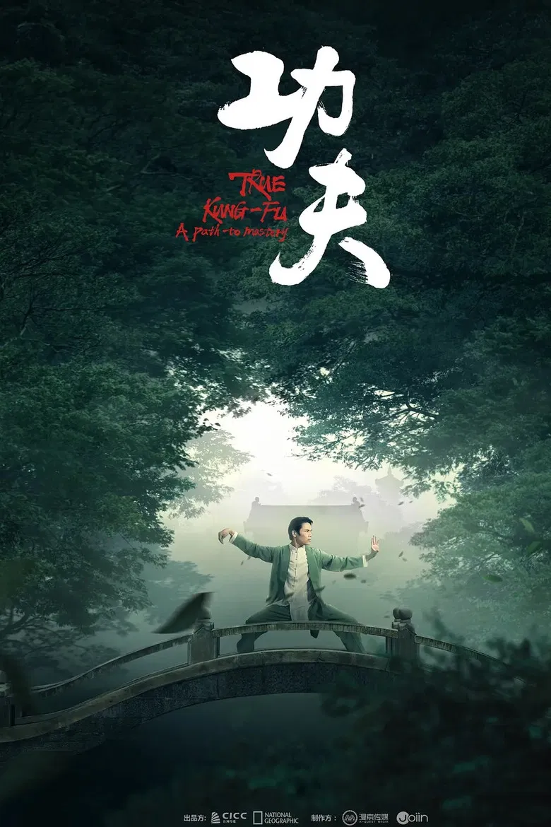 功夫 poster background