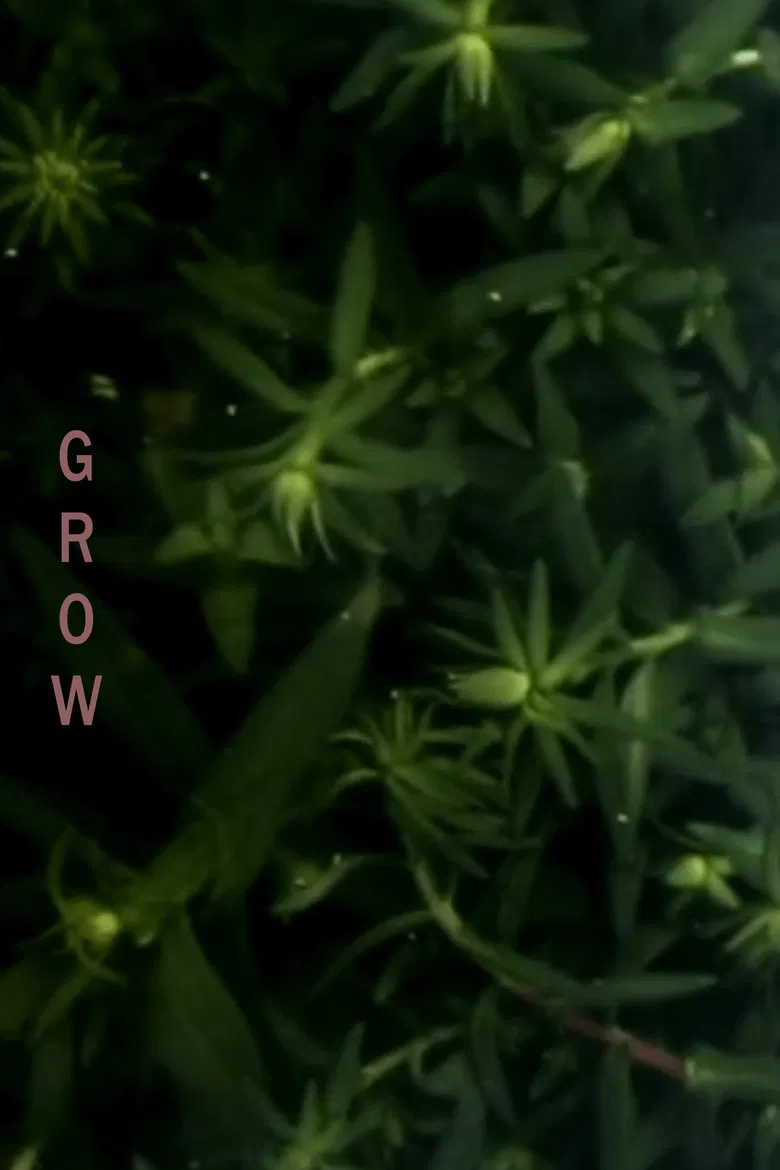 Grow poster background