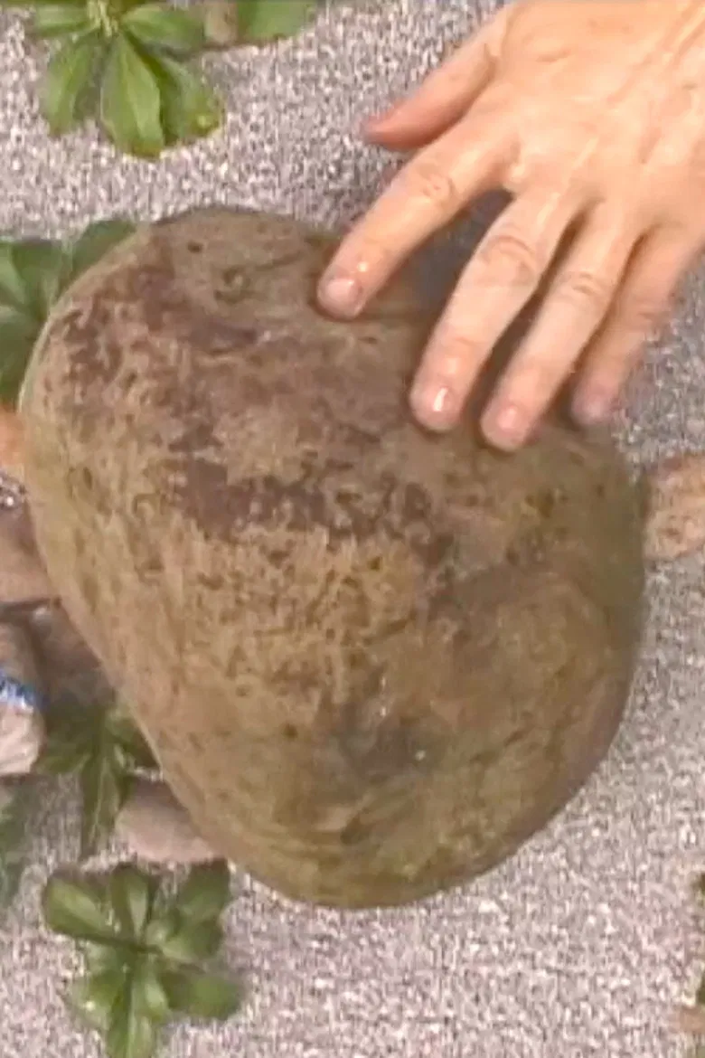 Touchstone poster background