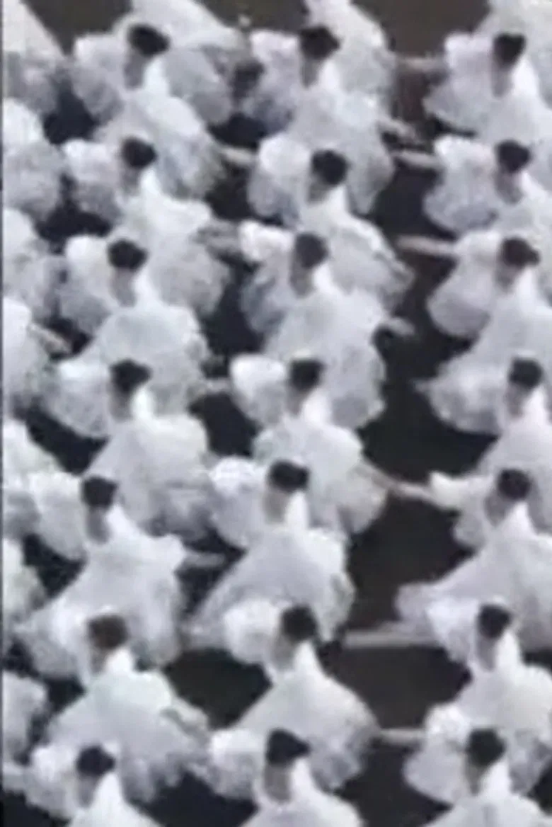 Le Défilé poster background