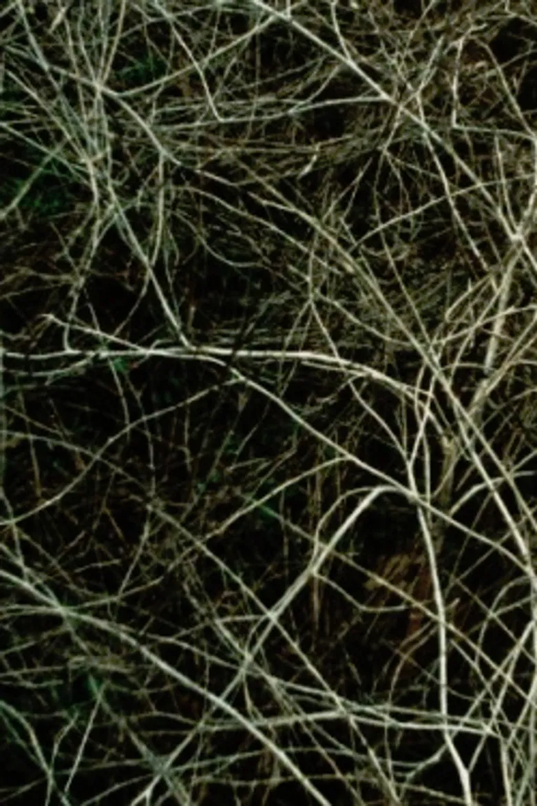 Epilogue poster background