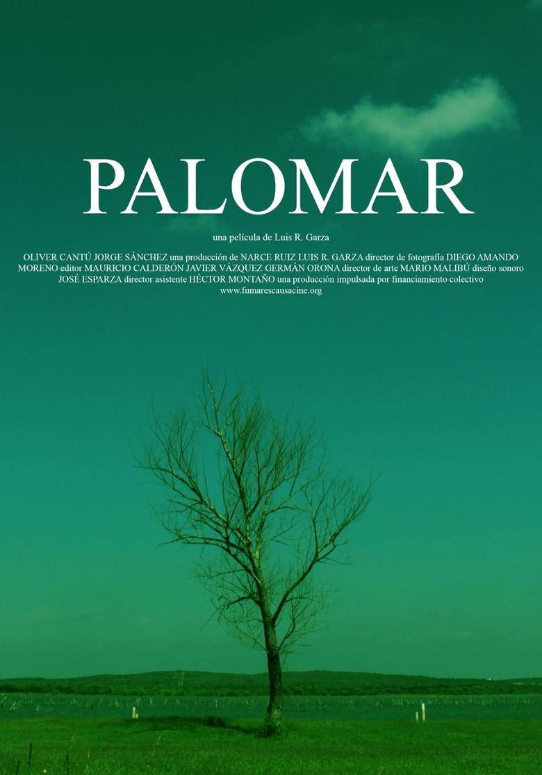 Palomar poster background