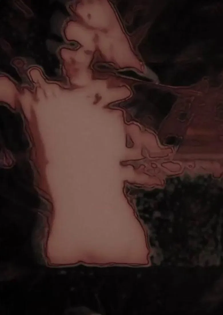 Enduring Ornament poster background