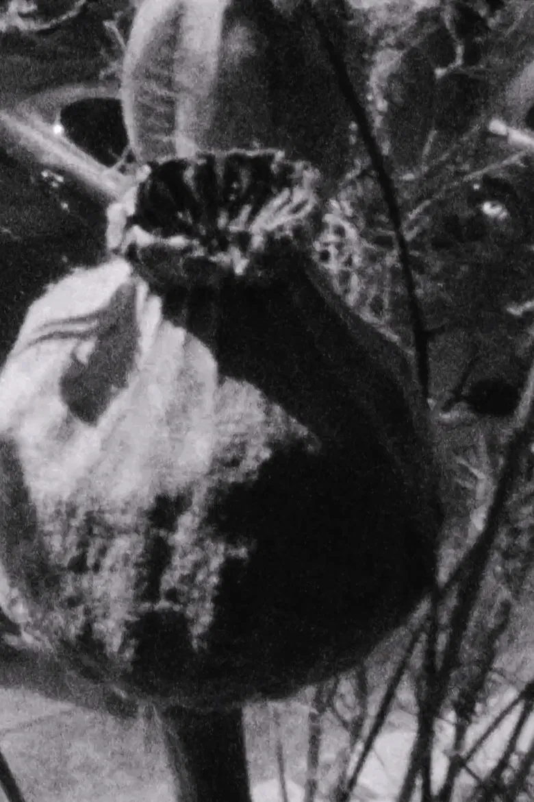 Ein windiger Frühlingstag poster background