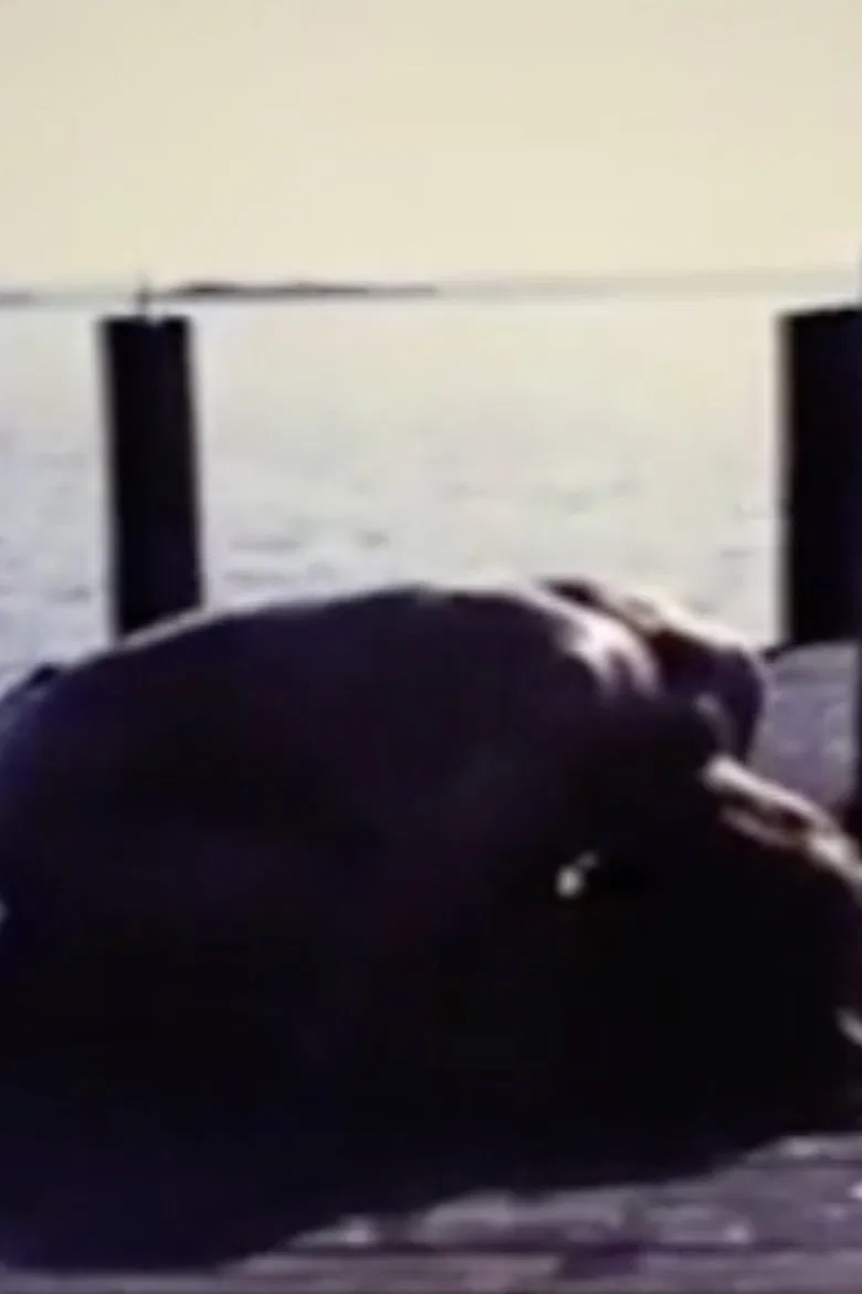 Homage To Edvard Munch And All My Dead Children poster background