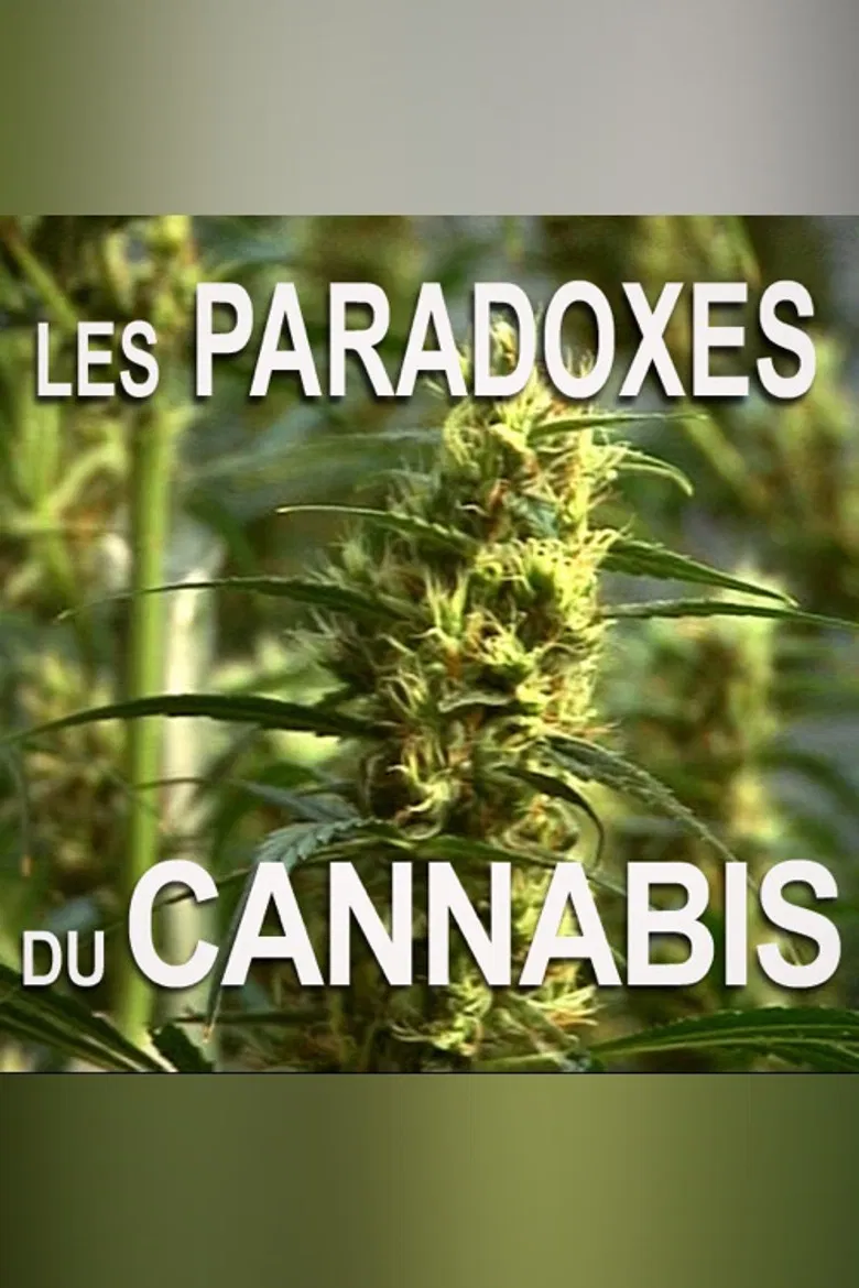 Les paradoxes du cannabis poster background