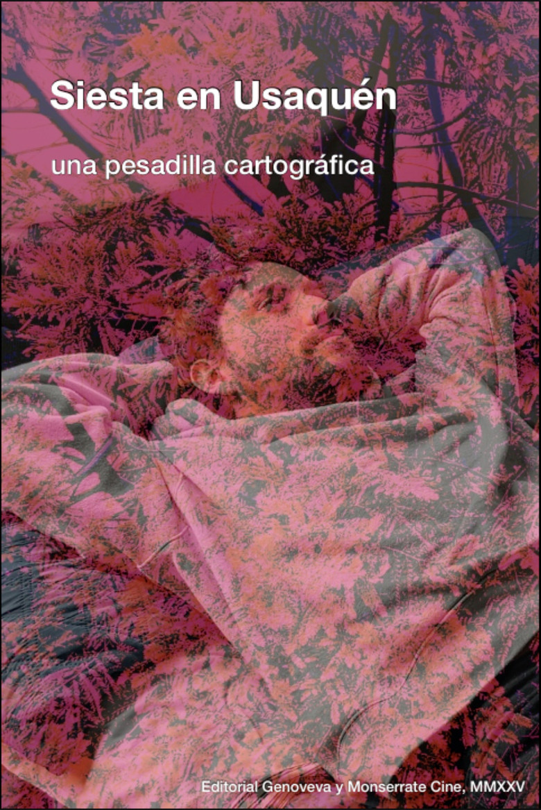 Siesta en Usaquén: una pesadilla cartográfica poster background