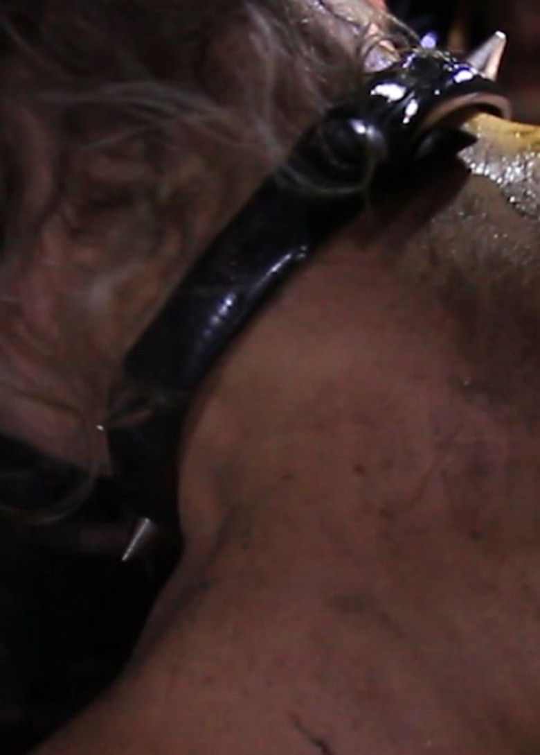 The Pornographer poster background