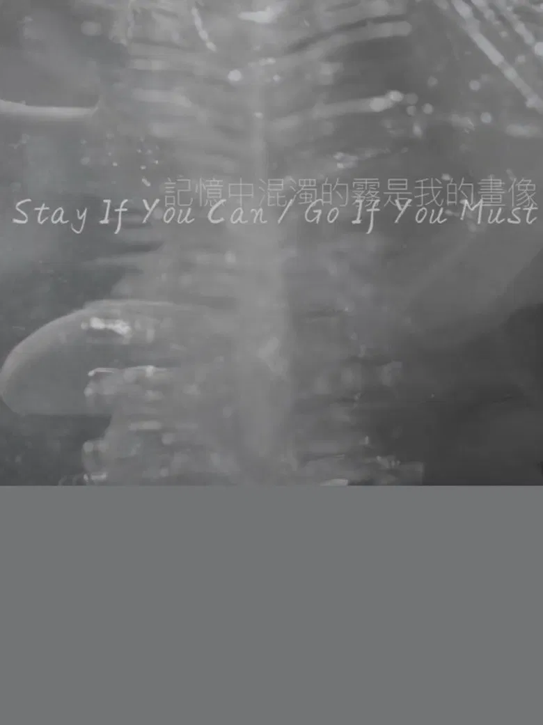 Stay If You Can / Go If You Must poster background