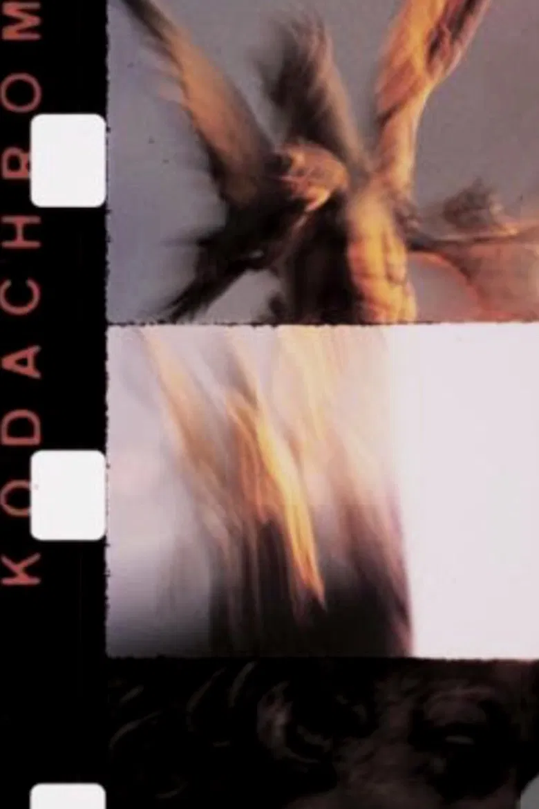 Novembre poster background