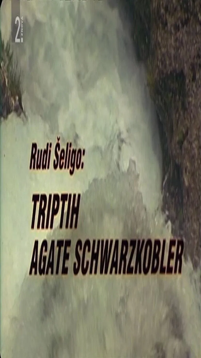 Triptych of Agata Schwarzkobler poster background