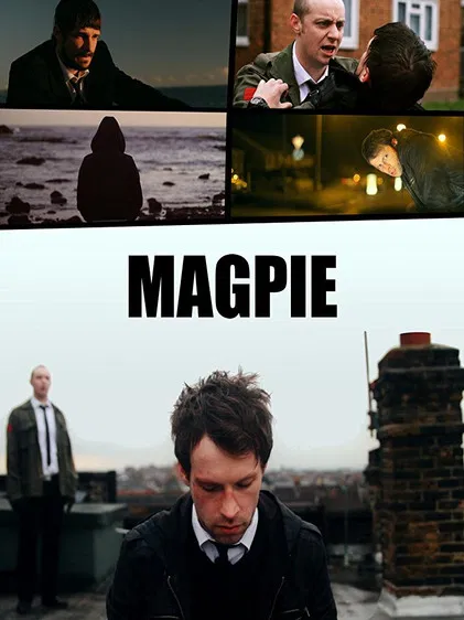 Magpie poster background