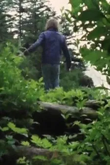 Beautiful Lennard Island poster background