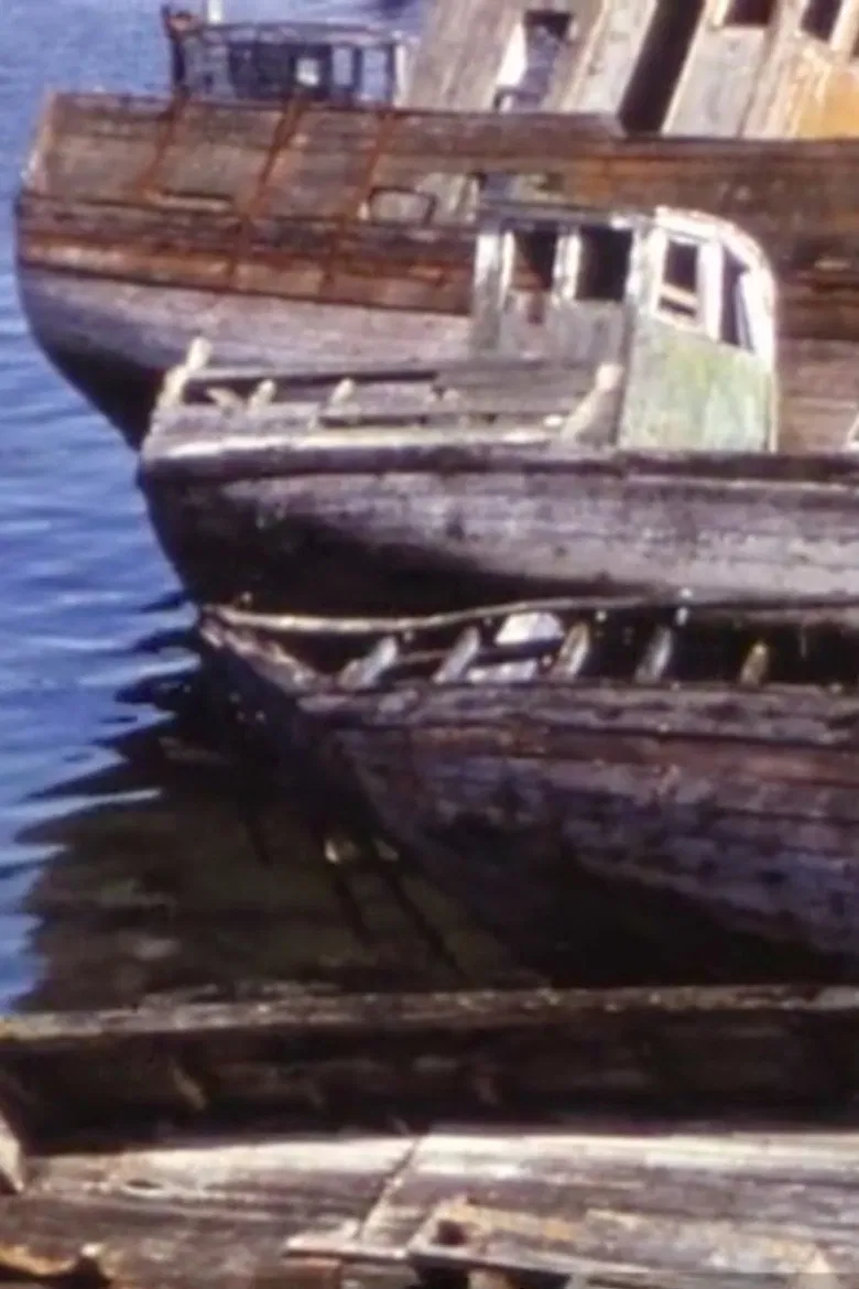 The island of the marine dead poster background