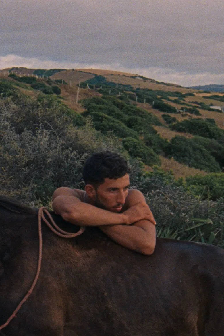 New Cavaliers poster background