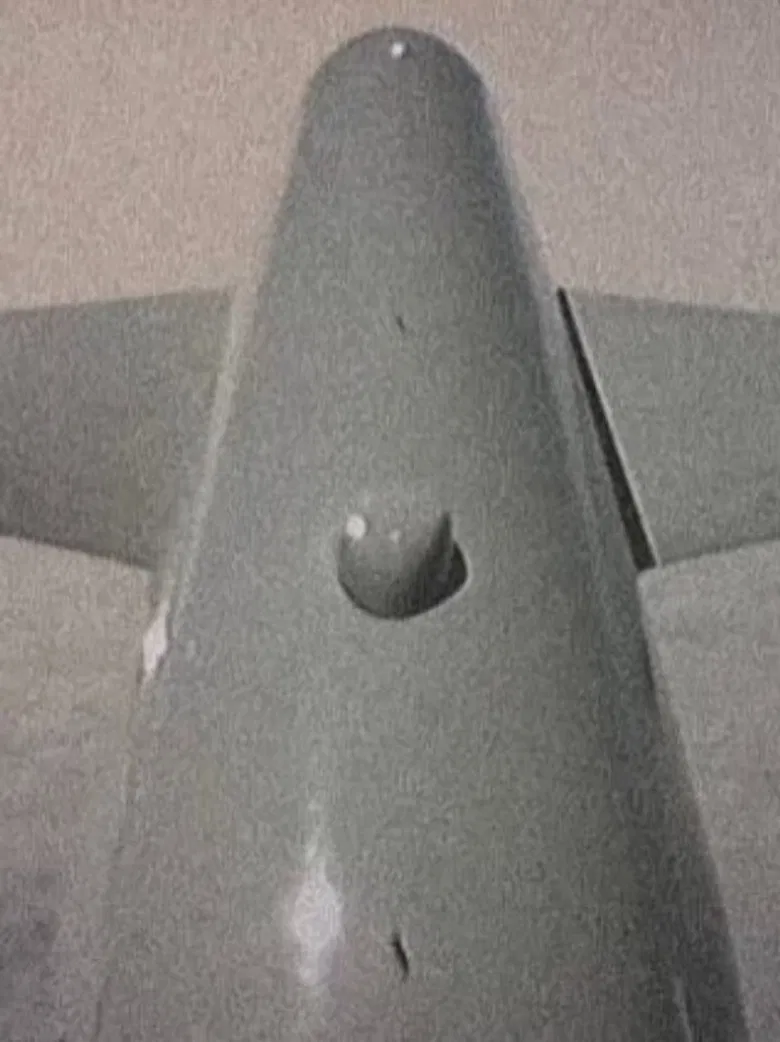 Flutter poster background