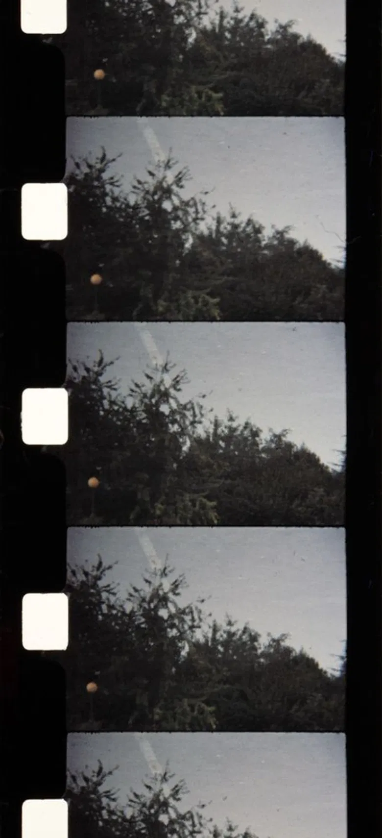 Soleil d'Automne poster background