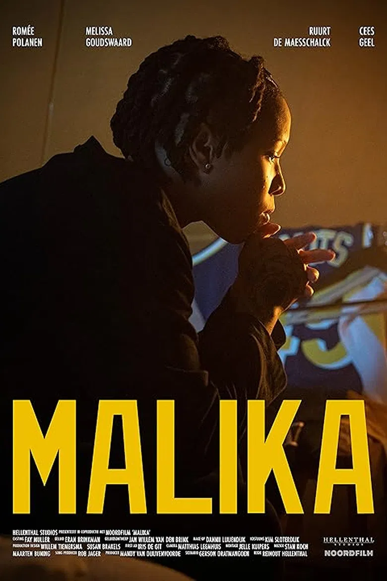 Mally Can Fly poster background