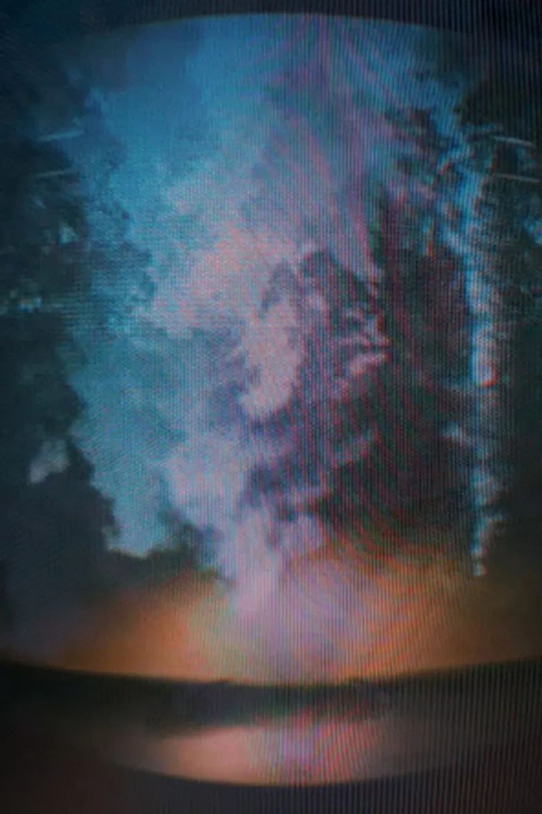 Forwards, Backward poster background