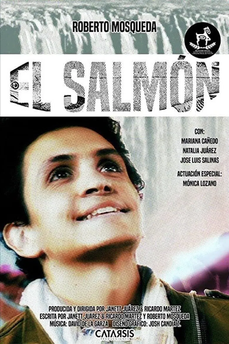 The Salmon poster background