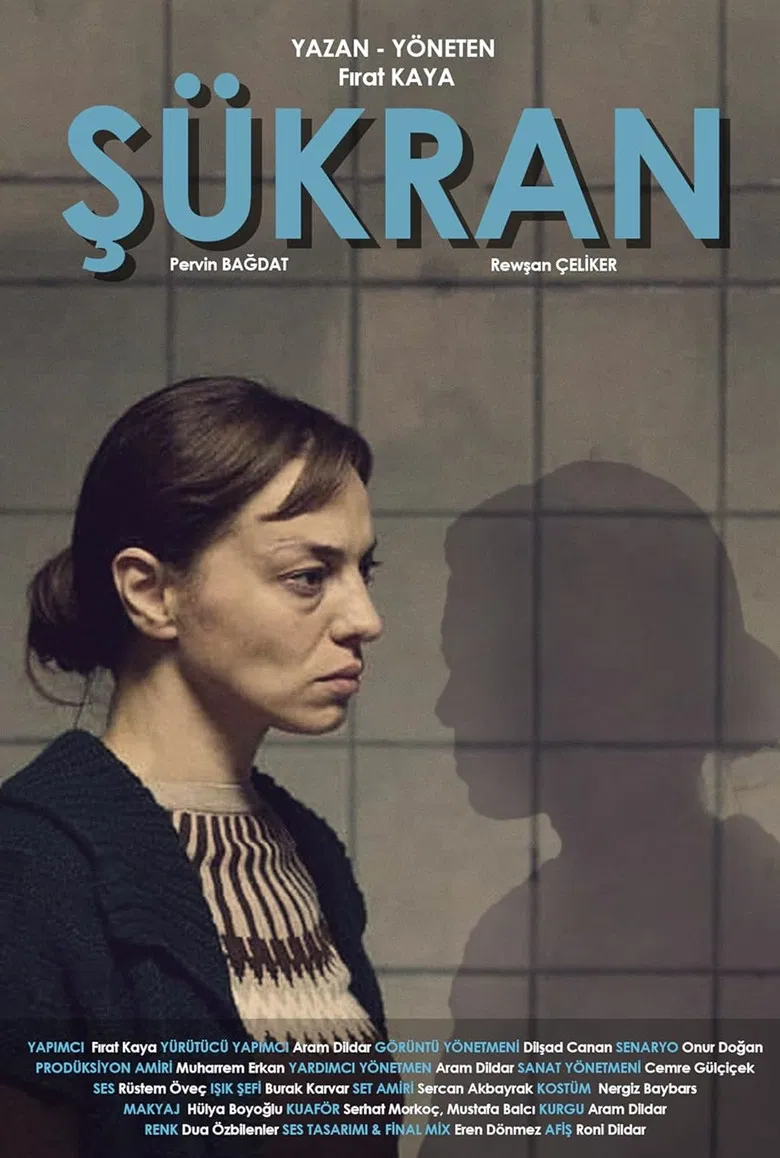 Şükran poster background
