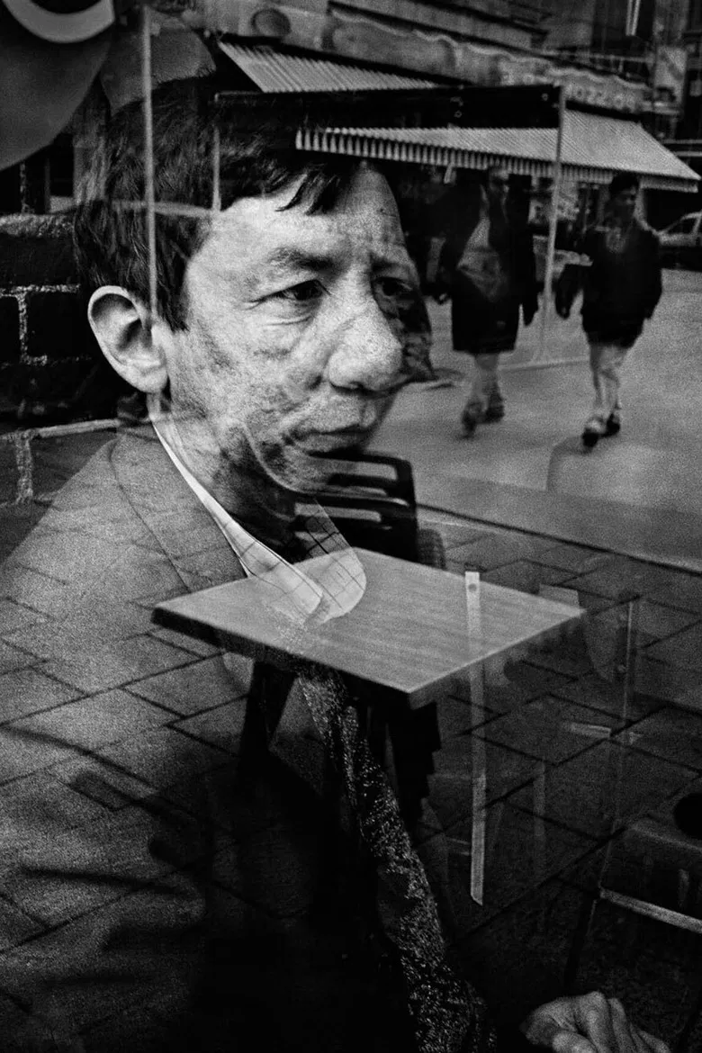 The Left Shore poster background