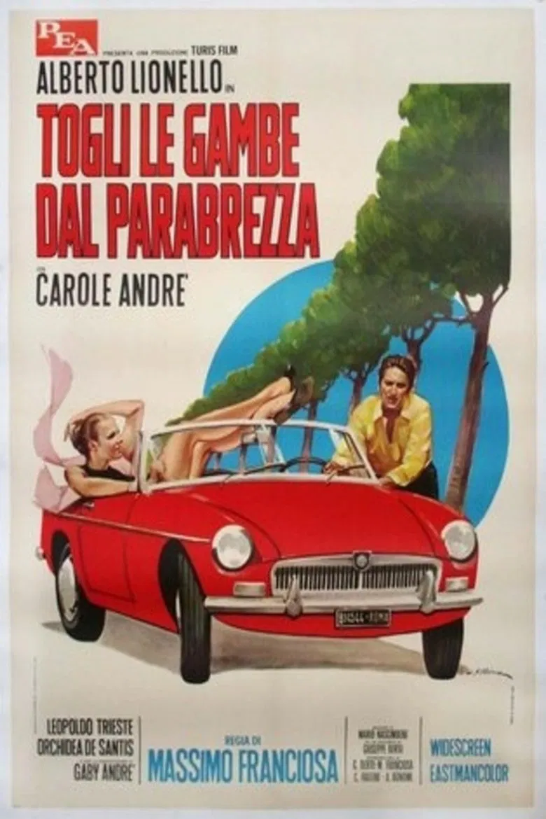 Togli le gambe dal parabrezza poster background
