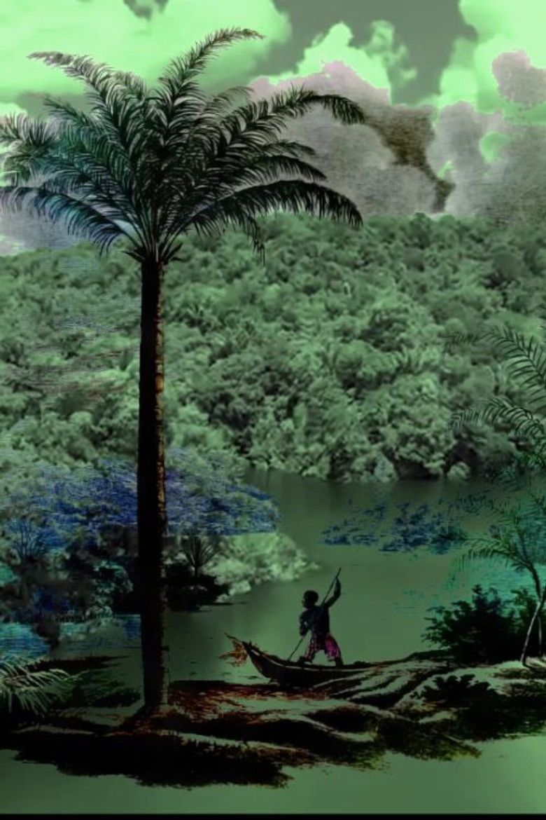 A conquista da floresta poster background