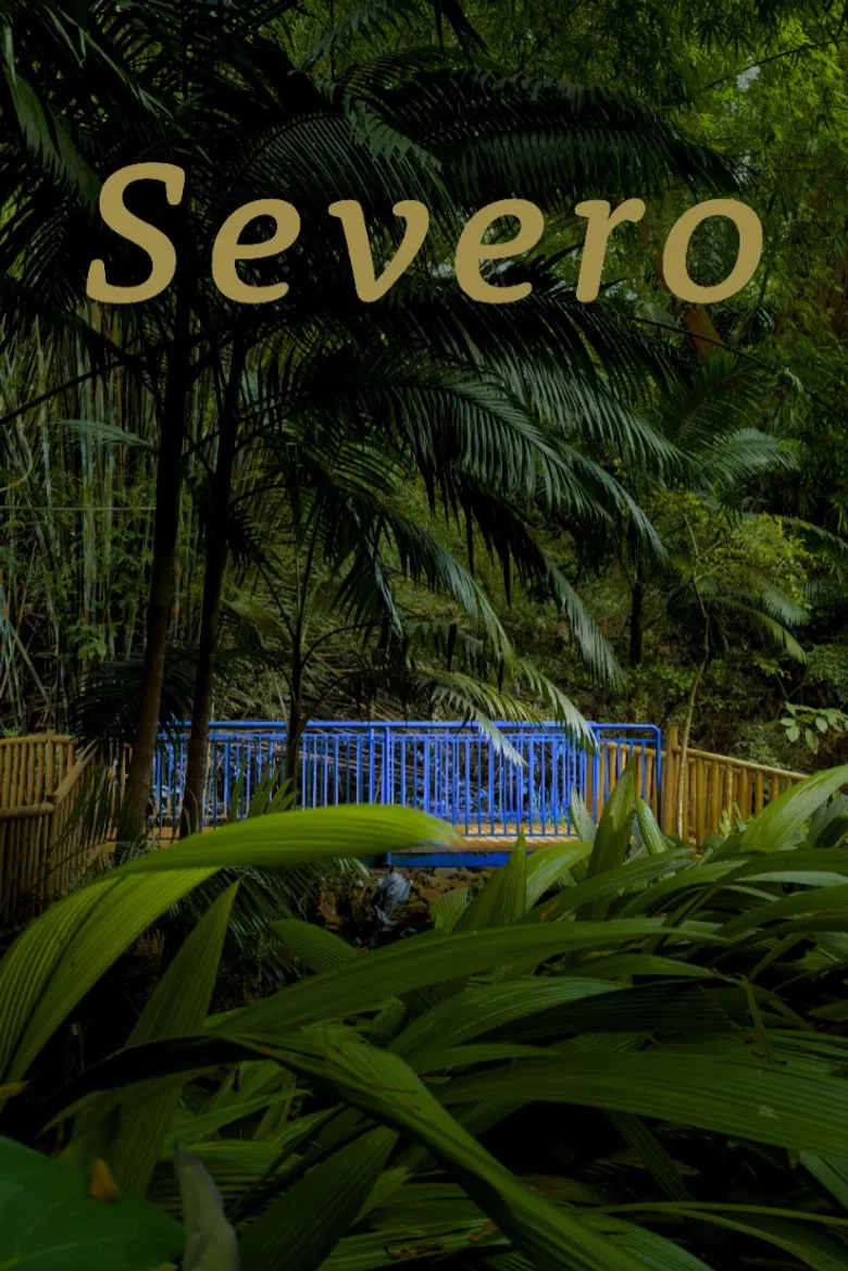 Severo poster background