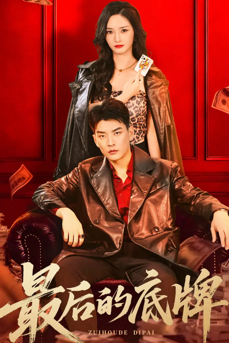 最后的底牌 poster background