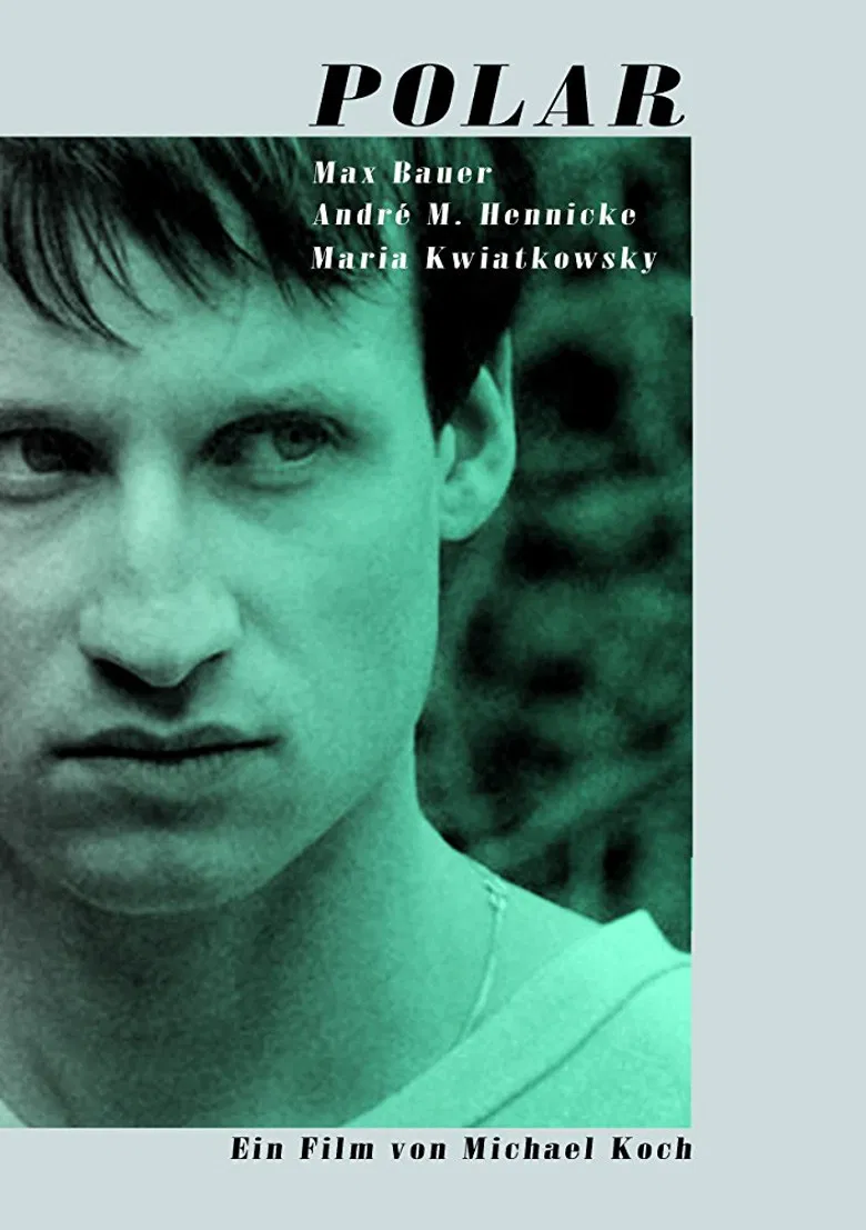 Polar poster background