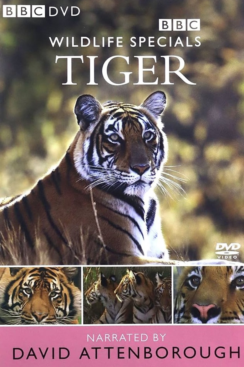 Tiger: The Elusive Princess poster background
