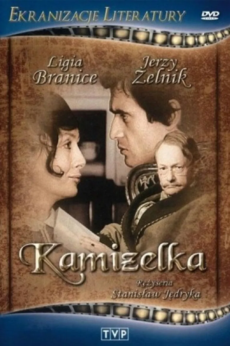 Kamizelka poster background